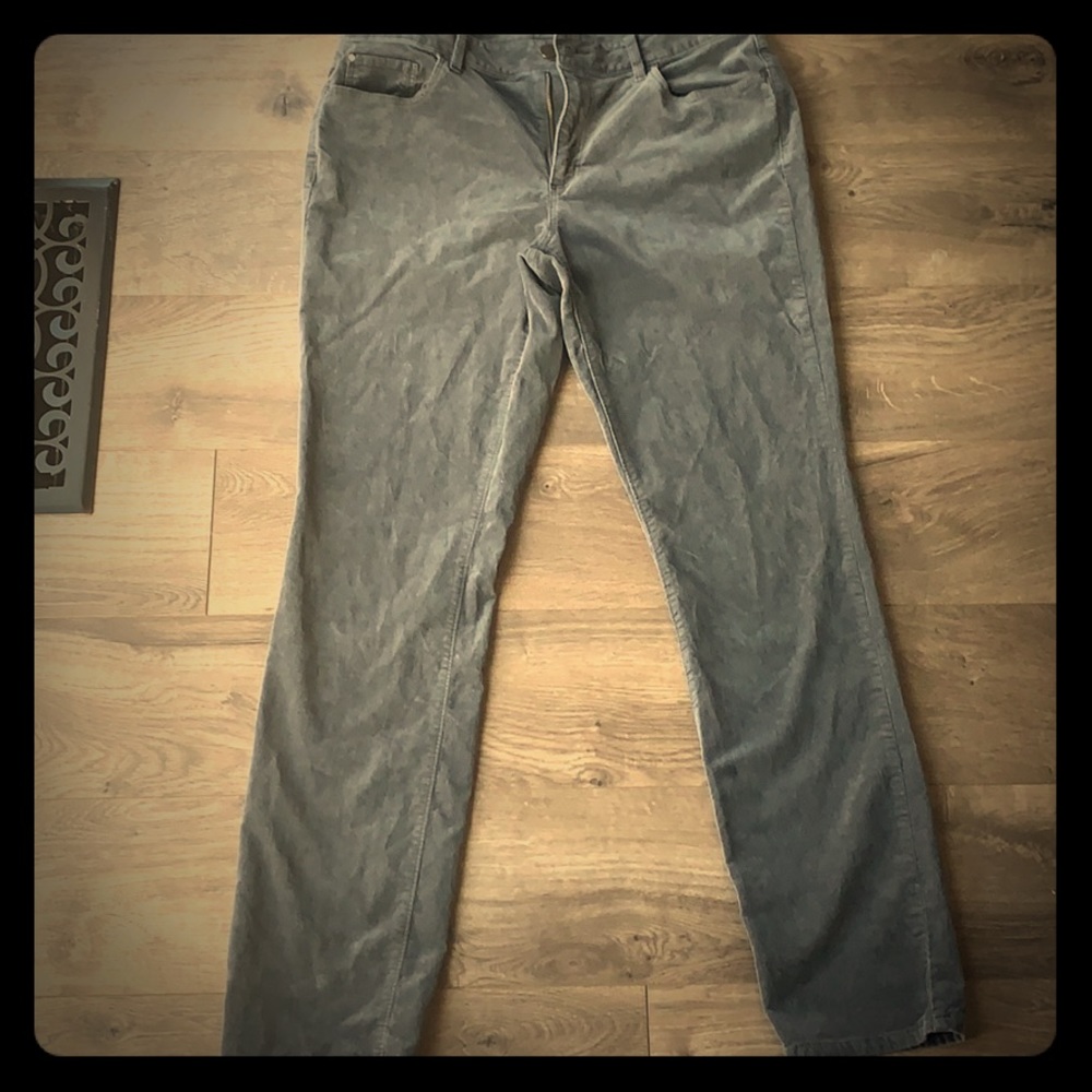 Gray Velvety Pants by Ann Taylor 30 Inch Inseam Size 10